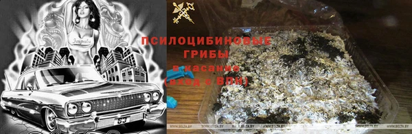 героин Белокуриха
